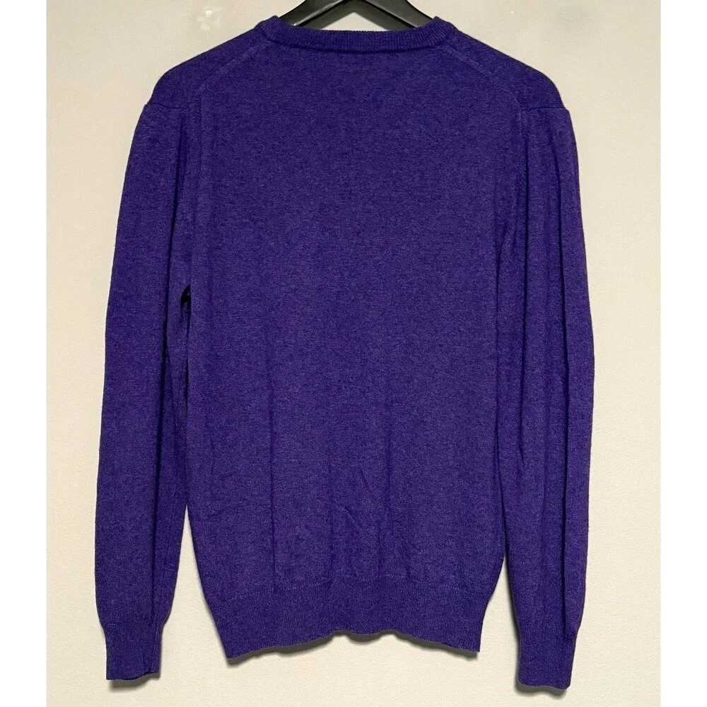 Cashmere Womens Sweater Large Cashmere Wool Silk Blend Pullover Purple V-Neck